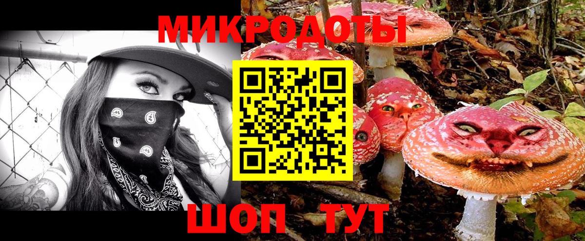 Галлюциногенные грибы GOLDEN TEACHER  где можно купить наркотик  Дербент  Вход с VPN 