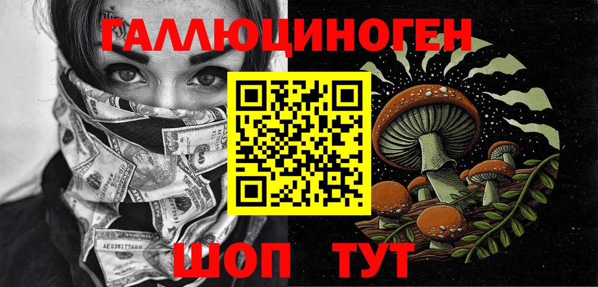 Псилоцибиновые грибы Psilocybe Дербент